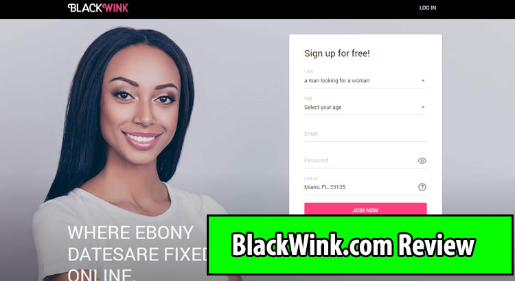 blackwink.com